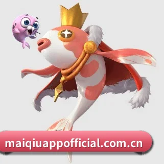 买球官网 APP